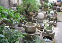 “Bảo tàng hồn quê” và ký ức làng Việt