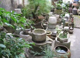 “Bảo tàng hồn quê” và ký ức làng Việt