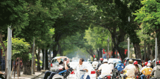 Chuyến khám phá Sài Gòn lý thú