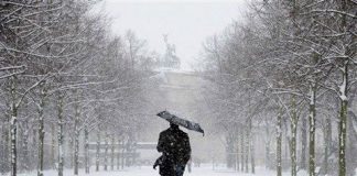 Chuyện về những linh hồn phiêu bạt