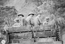 Ký ức chiến tranh nơi rừng xanh