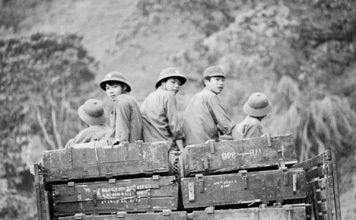 Ký ức chiến tranh nơi rừng xanh