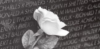 john merson Những bài học chiến tranh