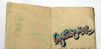 Cuốn nhật ký bước vào tuổi hai mươi