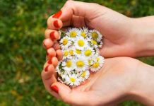 Cuộc thử thách về tình người