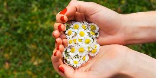 Cuộc thử thách về tình người