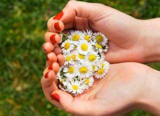 Cuộc thử thách về tình người