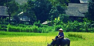 Hiểu biết về giới tính của nam thanh niên một ấp vùng sâu (kỳ cuối)