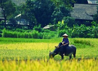 Hiểu biết về giới tính của nam thanh niên một ấp vùng sâu (kỳ cuối)