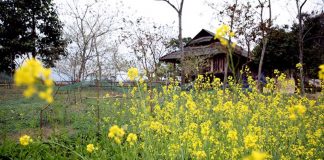 Hồn nhiên, quyến rũ !