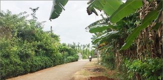 Nụ cười Chơ Ro