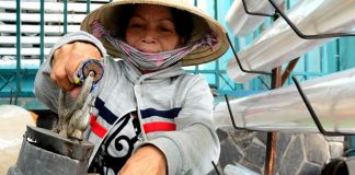 Những người phụ nữ “ép dẻo”