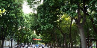 Chuyện đường phố – kỳ 2