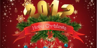 Không khí đêm Noel 2012 ở khu vực trung tâm Tp.HCM