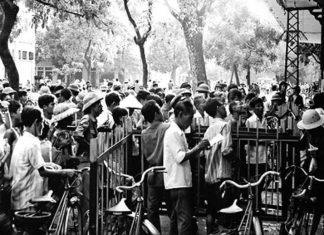 Đời sống kinh tế thời bao cấp ở miền Nam – Kỳ 7: Bộ hồ sơ xuất khẩu gỗ cao su đầu tiên ở Việt Nam