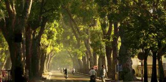 Một thoáng Hà Nội – Kỳ cuối