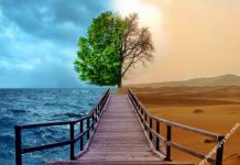 Việt Nam xứ sở của nghịch lý