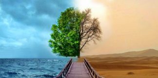 Việt Nam xứ sở của nghịch lý