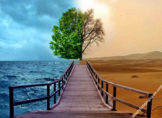 Việt Nam xứ sở của nghịch lý