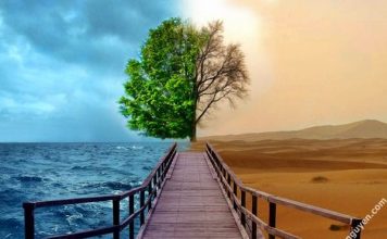 Việt Nam xứ sở của nghịch lý