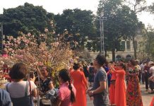 Đầu lân – Một góc nhìn văn hóa (kỳ 1)