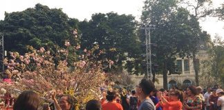 Đầu lân – Một góc nhìn văn hóa (kỳ 1)