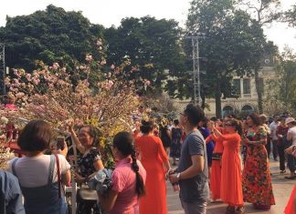 Đầu lân – Một góc nhìn văn hóa (kỳ 1)