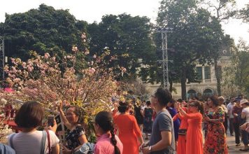 Đầu lân – Một góc nhìn văn hóa (kỳ 1)