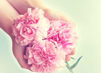 Tự sự về nỗi đau, sống còn và trách nhiệm (kì 4)