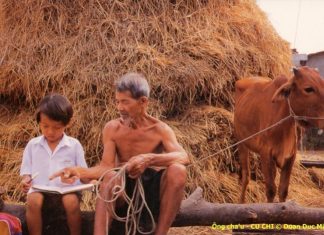 Người trẻ và cách ứng xử trong gia đình