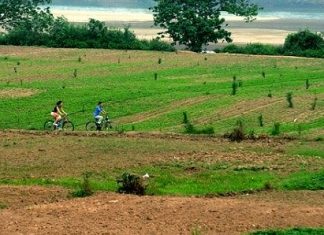 Trẻ em bãi giữa sông Hồng qua phim Thảo nguyên xanh tươi”