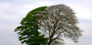 ‘Người chết đầu thai’ náo loạn đất Hòa Bình