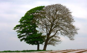 ‘Người chết đầu thai’ náo loạn đất Hòa Bình