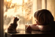 Bây giờ nhìn lại…