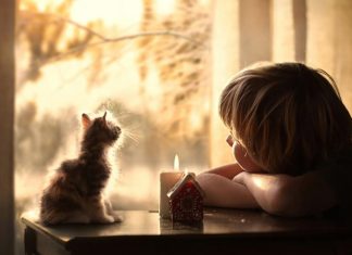 Bây giờ nhìn lại…