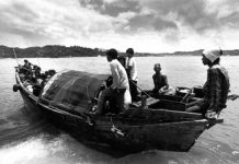 Cuộc di cư của chữ nghĩa – Kỳ cuối