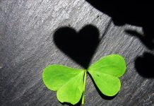 Hình ảnh để ta suy nghĩ