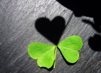 Hình ảnh để ta suy nghĩ