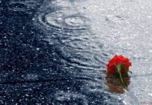 Ký ức về em: Thư gửi người đã khuất