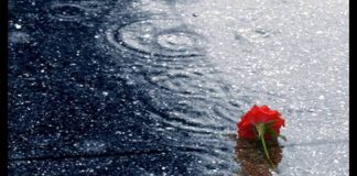 Ký ức về em: Thư gửi người đã khuất