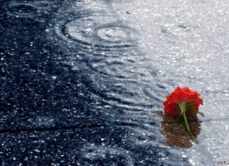 Ký ức về em: Thư gửi người đã khuất