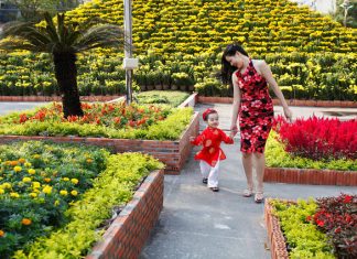 Qúy Tỵ ơi mơ gì?