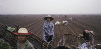 Việt Nam năm 1989 qua ống kính nhiếp ảnh gia Mỹ