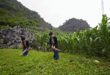 Âm xưa trên cung đường di sản