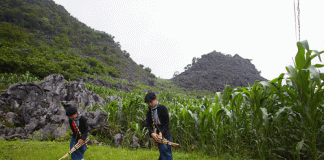 Âm xưa trên cung đường di sản