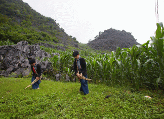 Âm xưa trên cung đường di sản