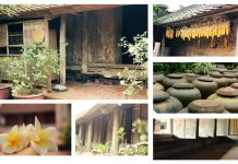 Vẹn nguyên di sản xưa ở làng cổ Đường Lâm